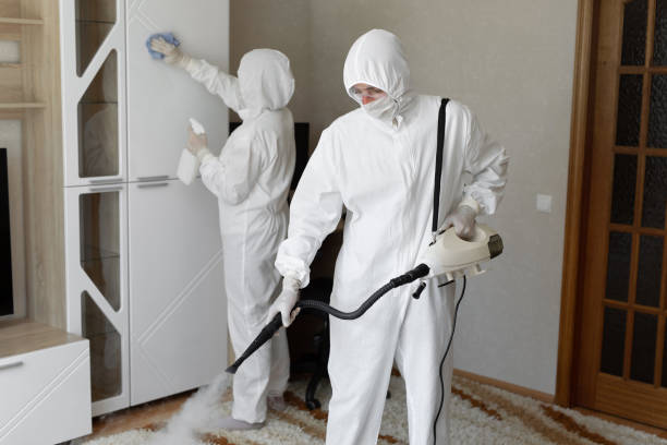 Mold Removal and Inspection in Yoakum, TX
