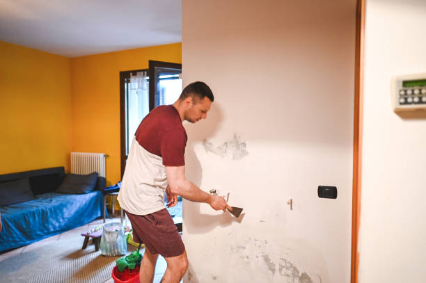 Best Mold Testing and Removal  in Yoakum, TX